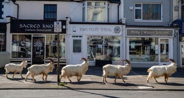 Conwy Pen Cefn Farm Holiday Abergele Bagian luar foto
