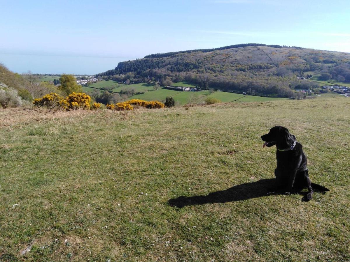Conwy Pen Cefn Farm Holiday Abergele Bagian luar foto