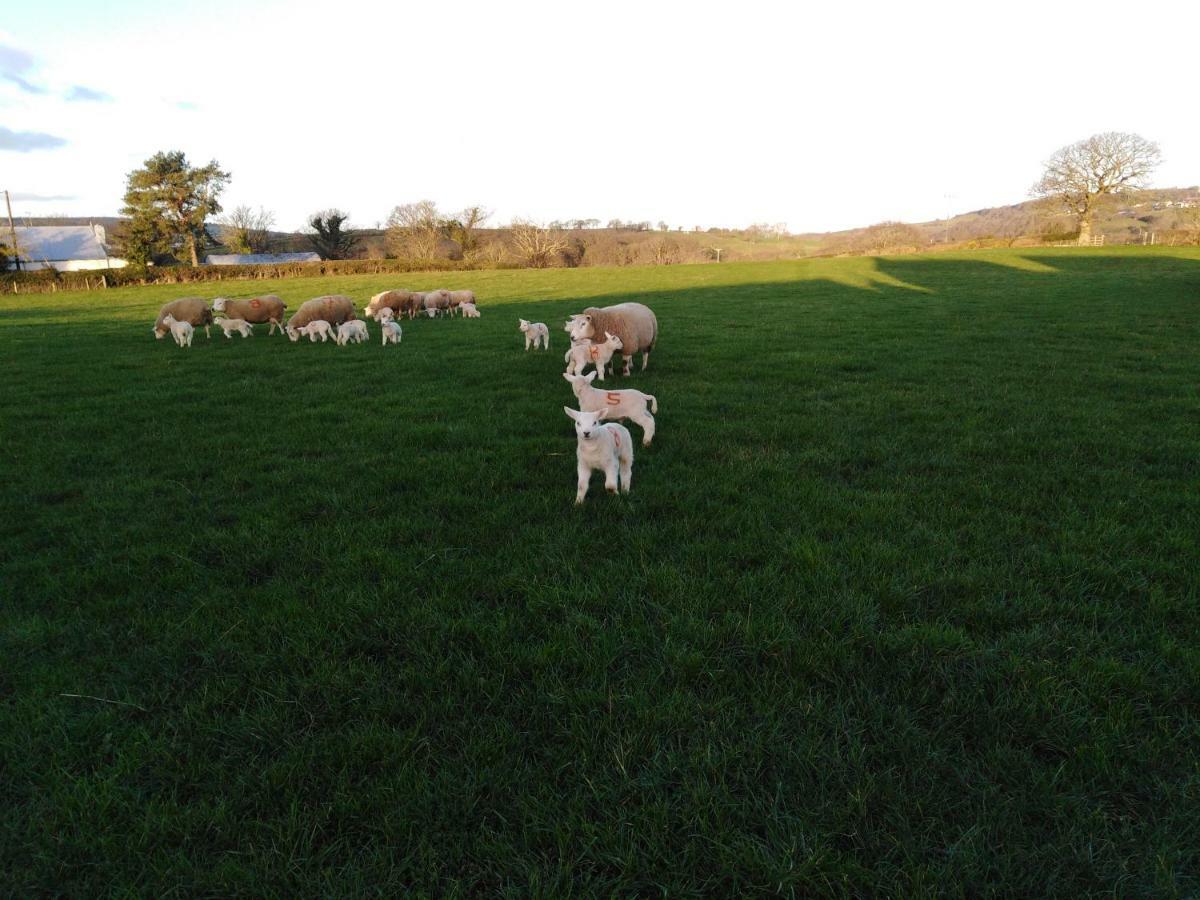 Conwy Pen Cefn Farm Holiday Abergele Bagian luar foto